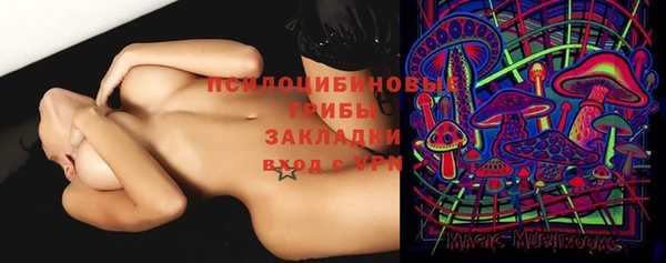 герыч Горняк