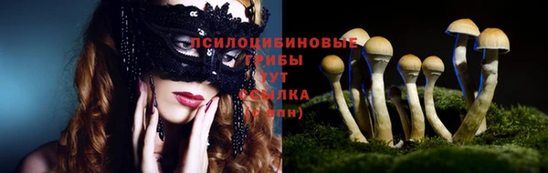крисы Горнозаводск
