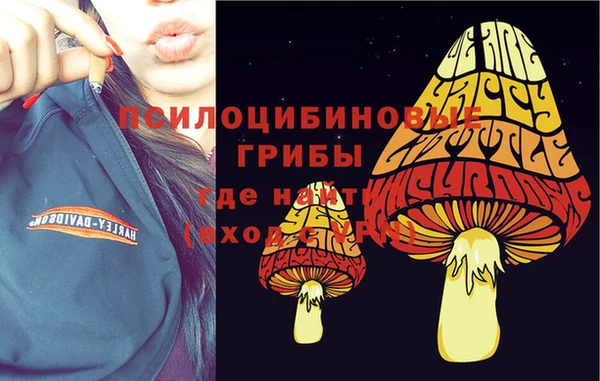 PSILOCYBIN Вязьма