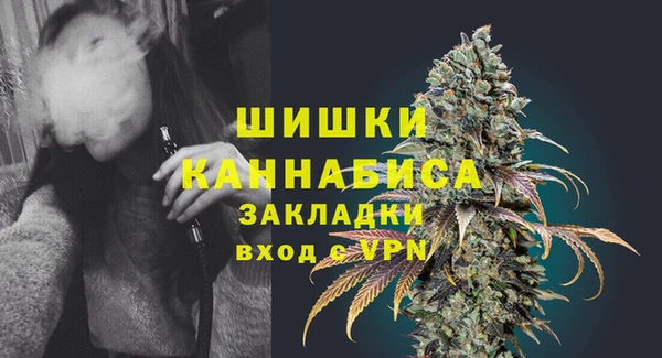 крисы Горнозаводск