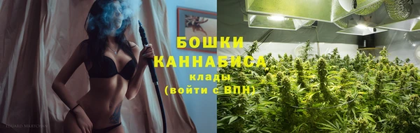 крисы Горнозаводск