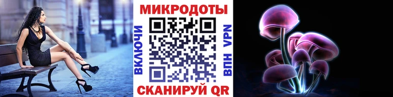 Галлюциногенные грибы GOLDEN TEACHER  Купить  Кремёнки 